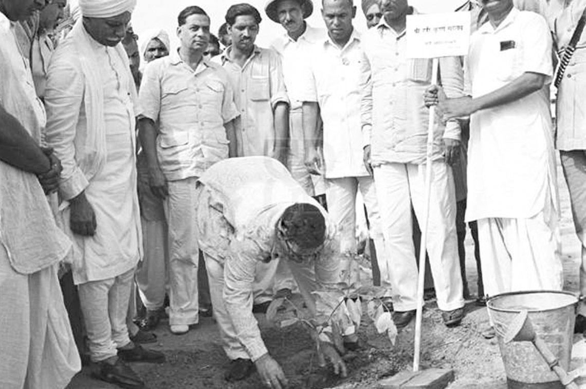 Union Industry Minister Dr H.K  Mahtab planting near Pune 